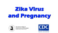 ZikaVirusandPregnancy