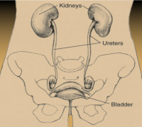 NA-Focus-Incontinence